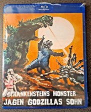 Frankensteins Monster Jagen