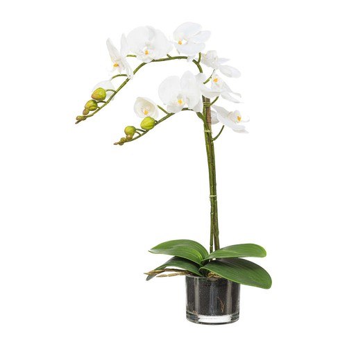 Kunstblume phalenopsis - kunstblume,