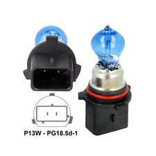 P13W PG18.5d-1 12V 13W Halogen