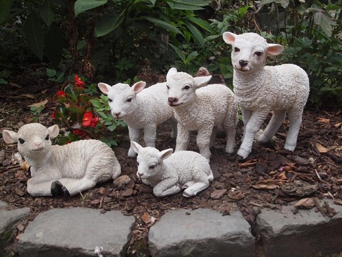 Schaf lamm deko - lamm,