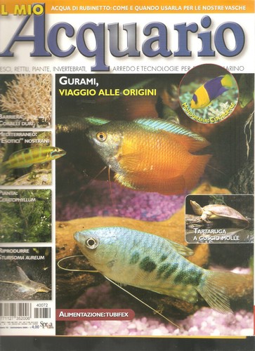 Mein aquarium september - mein,