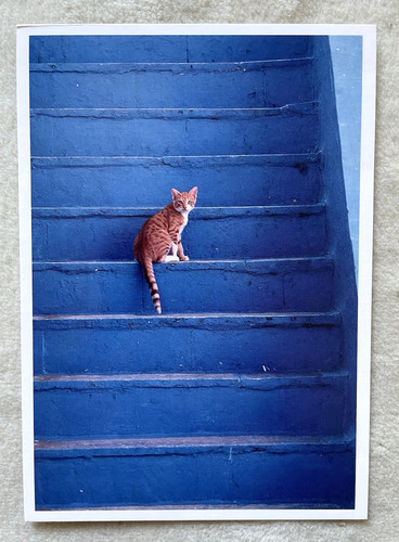 Postkarte katze aufpasser - 1,