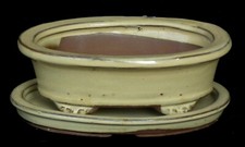 Bonsai - Bonsaischale mit