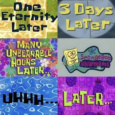 63x spongebob schwammkopf - 63x,