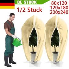 2 Stück Set XXL Pflanzen
