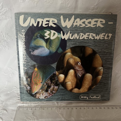Unterwasser-3D-Wunderwelt