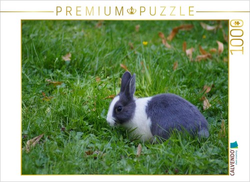 Calvendo puzzle grau weißes - calvendo,