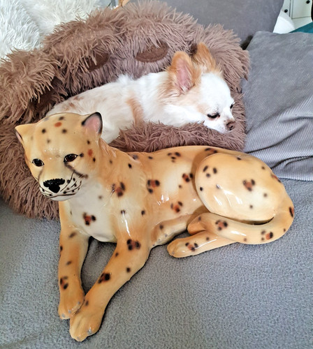 Italienischer keramik leopard - keramik,