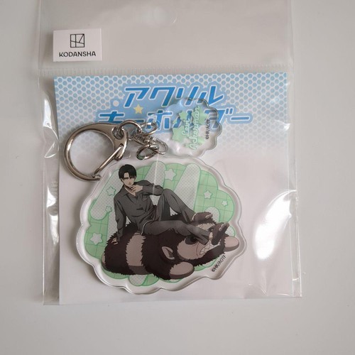 Attack titan levi - on,