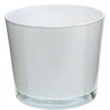 Moderner Glas Blumentopf für