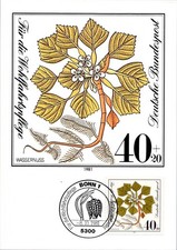 BRD 1981 Wohlfahrt Wassernuss