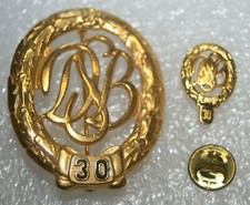 Sportabzeichen Gold mit