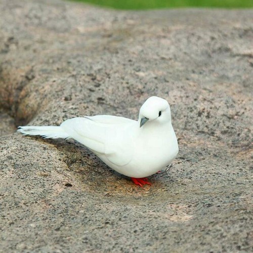 Artificial fake doves - doves, pigeon