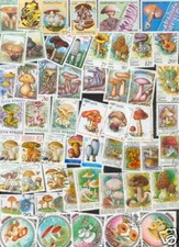 200 verschiedene Briefmarken  Pilze ,  Mushrooms , Champions