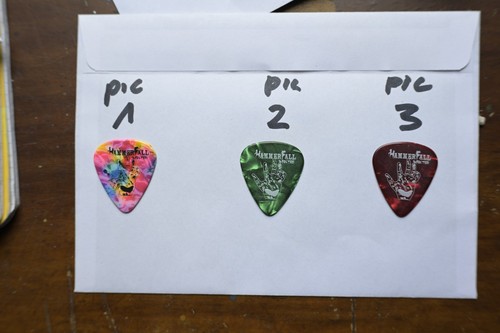 Hammerfall guitar pick - x,