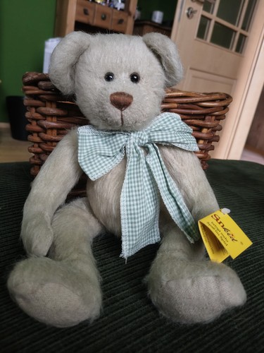 Sunkid teddy bär - sunkid, bär,