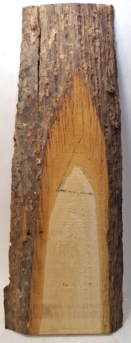 Lindenholz brett mit rinde zum - brett,