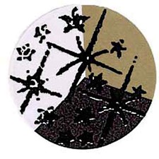 Embossing Pulver - Schwarz glänzend - 10g - 65061 - Emboss Powder Puder