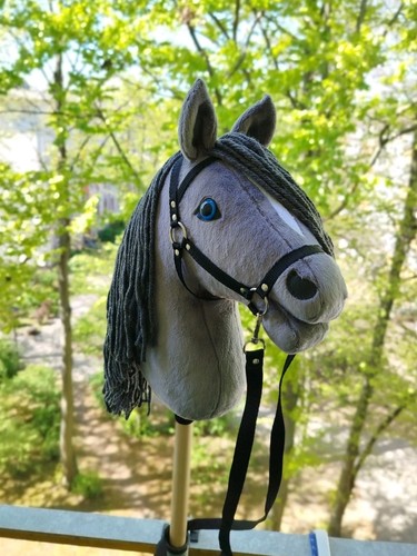 Hobby horse steckenpferd - hobby, horse,