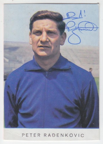 Petar radi radenkovic tsv 1860 - radi,