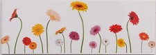 Bordüre 20x7cm mit Sommer Blumen für  Küchenfliesen o. Badfliesen