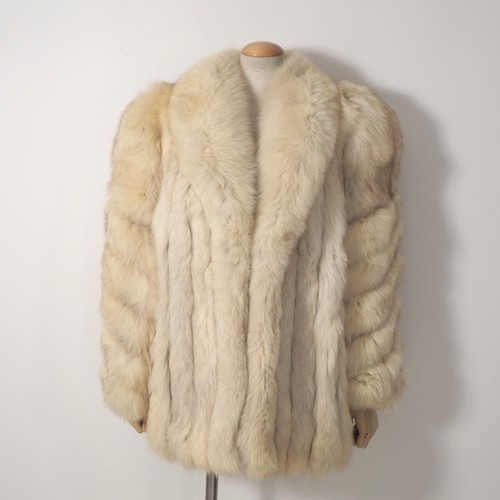 Saga fox echt blaufuchs - fox,
