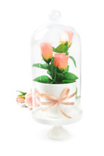 Glasglocke Porzellanteller