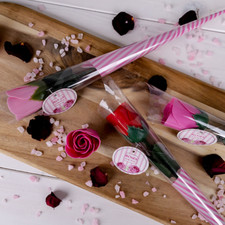 Baderose am Stiel »