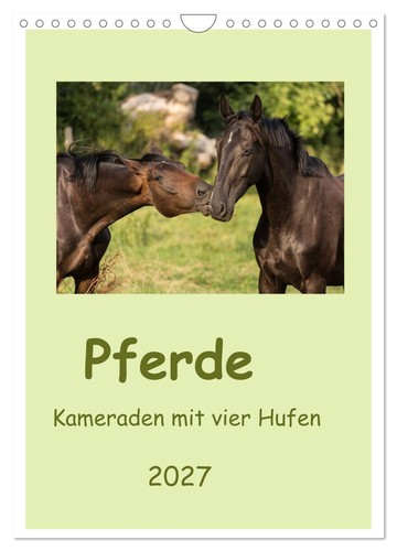 Pferde kameraden mit vier - mit,