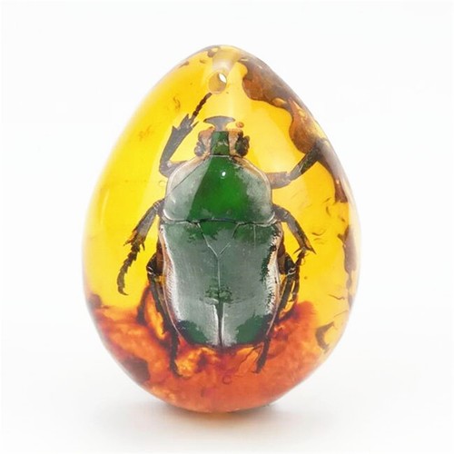 Harz amber schmetterlings - amber,