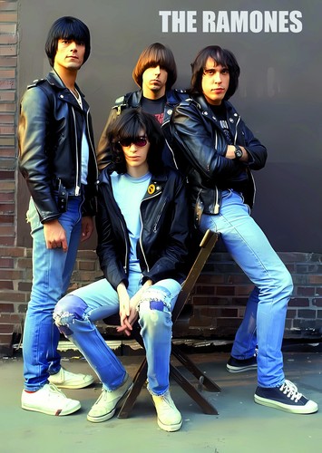 Dina2 poster punkrock - poster, punkrock,