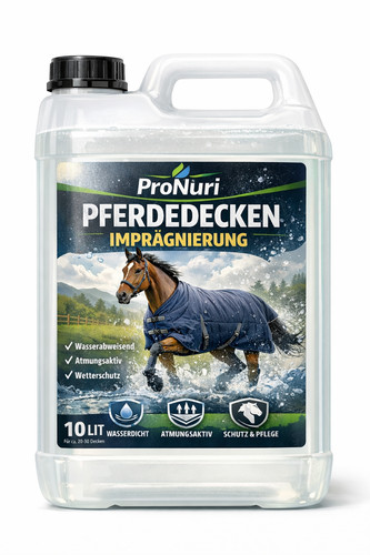 10L