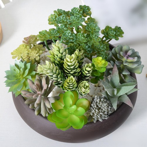 Kunststoff für mini bonsai - für,