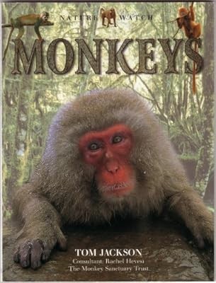 Monkeys - , (nature