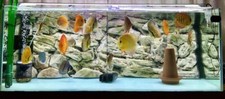 AQUARIUM HINTERGRUND 3D FÜR