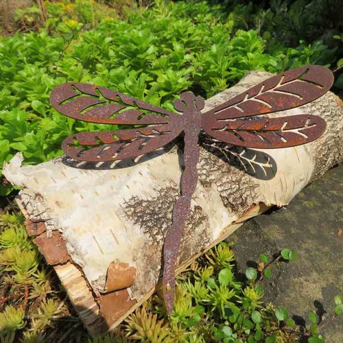 Libelle edelrost rost - libelle,