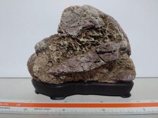 Suiseki Bonseki Bonsai