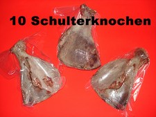 10 Schulterknochen