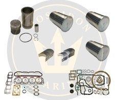 Motor Überholung Set Für Volvo Penta Marine Diesel AQD21 MD21 Ro:829532 876417