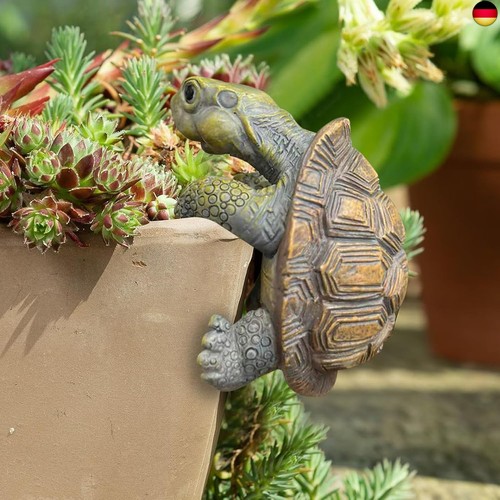 Lustige garten schildkröte - lustige,