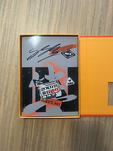 Stray kids felix - stray,