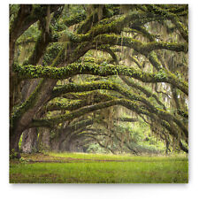 XXL Panorama Landschaft