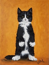 Schwarz-weiße Katze Gemälde