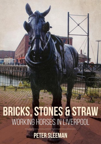 Bricks stones and - and, straw