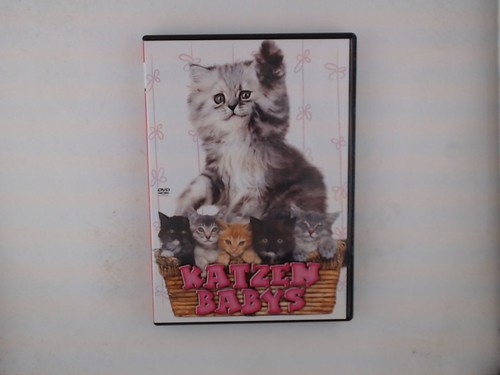 Katzenbabys katzen babys - katzen,
