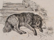 Johann Adam Klein Romantik