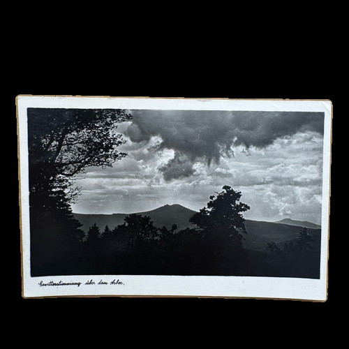 Ansichtskarte postkarte lam - ansichtskarte,