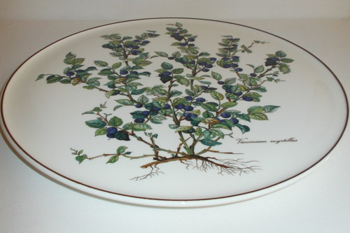 Villeroy boch botanica - &,