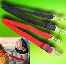 Anschnallgurt Sicherheitsgurt