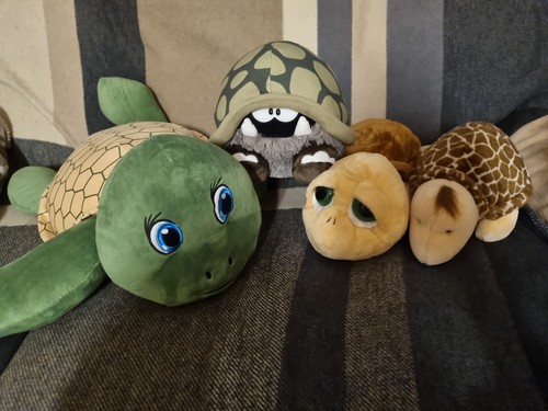 Schildkröten nici 1x - schildkröten,, nici,